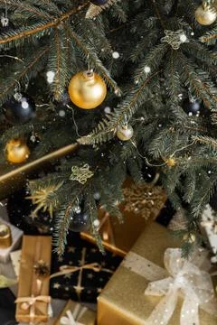 Christmas tree branches close-up Stock Photos