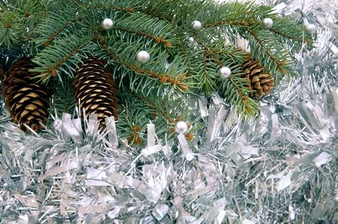 Christmas tree branches with cones in silver tinsel. Christmas background. Stock Photos