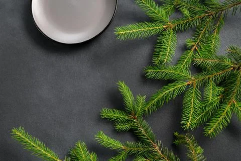 Christmas tree branches on Dark Background on right side. Gray empty plate to Foto stock