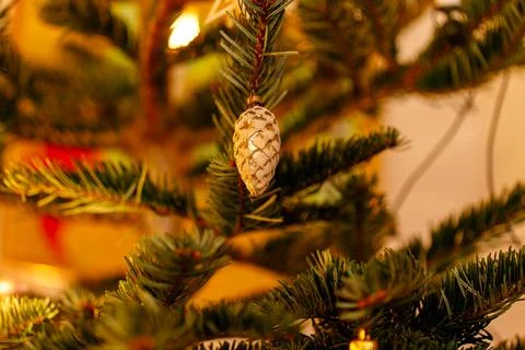 Christmas tree branches decorated with pine cone ornament Stock Photos