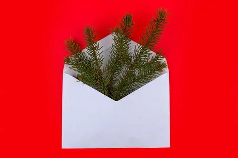Christmas tree branches in an envelope on a red background Stock Photos