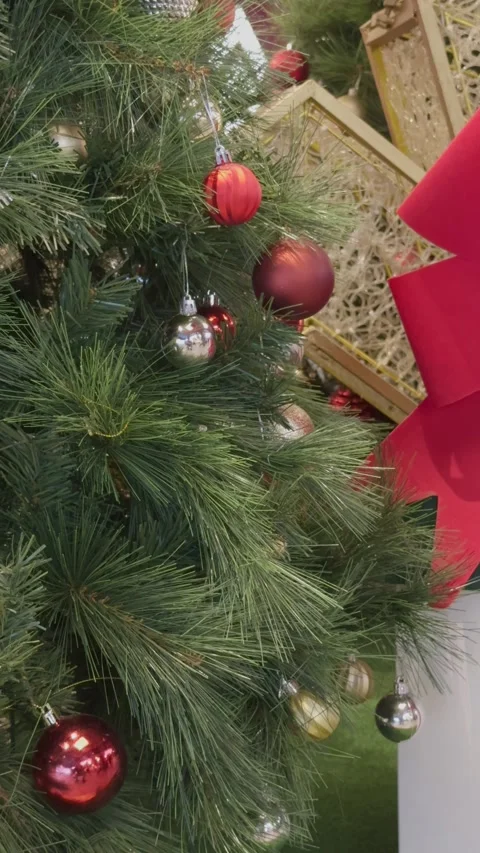Christmas Tree Branches with Festive Ornaments Stock-Footage 323275324