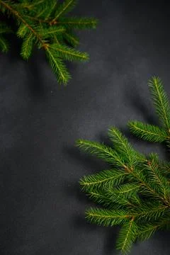 Christmas tree branches flat lay on black background. Christmas Theme. Empty  Stock Photos