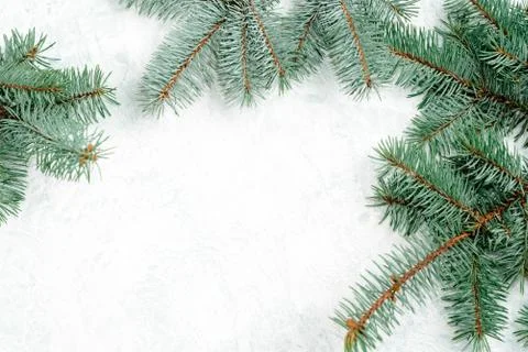 Christmas tree branches that form the frame for the Christmas background Stock-Fotos