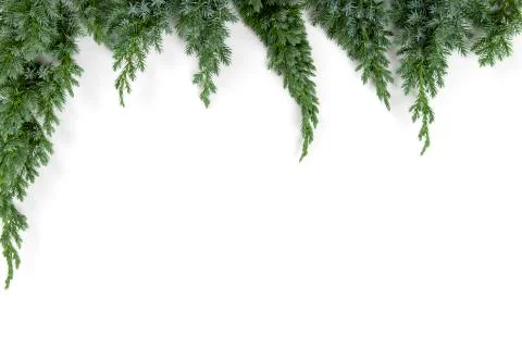 Christmas tree branches frame - Space for text Stock Photos