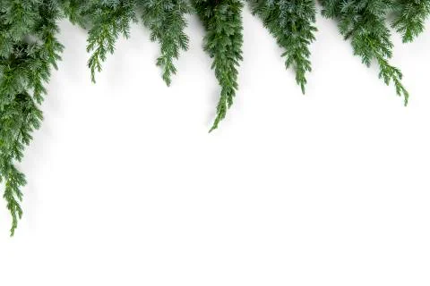 Christmas tree branches frame - Space for text Stock Photos