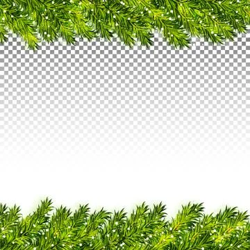 Christmas tree branches frame on transparent background vector Stock Illustration