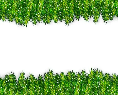 Christmas tree branches frame vector Stock Illustration