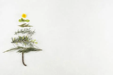 Christmas tree from branches. High quality photo Stock Photos