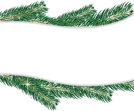 Christmas tree branches Stock Illustration