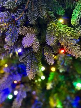 Christmas Tree Branches with Lights Stock Photos