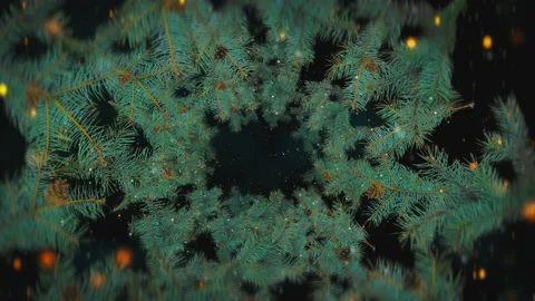 Christmas tree branches loop Stock-Footage 168796172