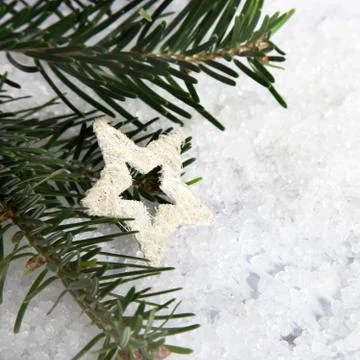 Christmas tree branches Stock Photos