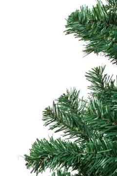 Christmas tree branches Stock Photos