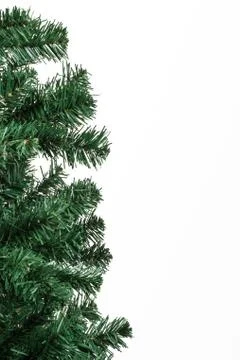 Christmas tree branches Stock Photos