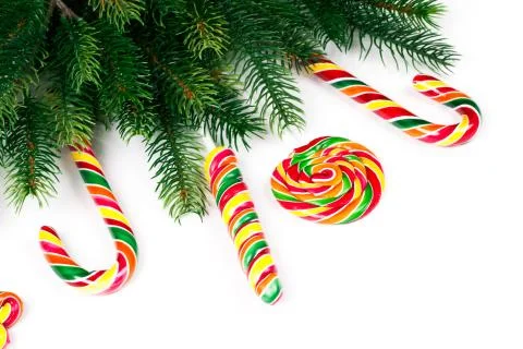 Christmas tree branches Stock-Fotos