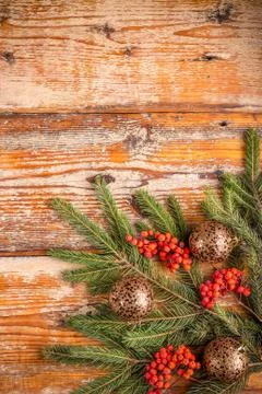 Christmas tree branches Stock Photos