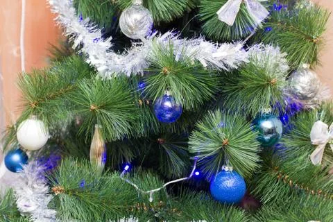 Christmas tree branches Stock Photos