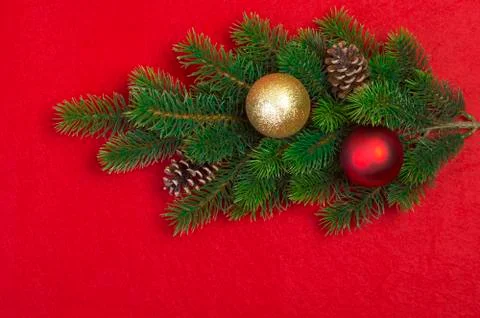 Christmas tree branches Stock Photos