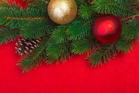 Christmas tree branches Stock Photos
