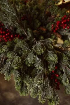 Christmas tree branches Stock Photos
