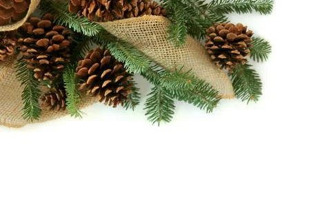 Christmas tree branches, pine cones, and burlap border white background Stock Photos