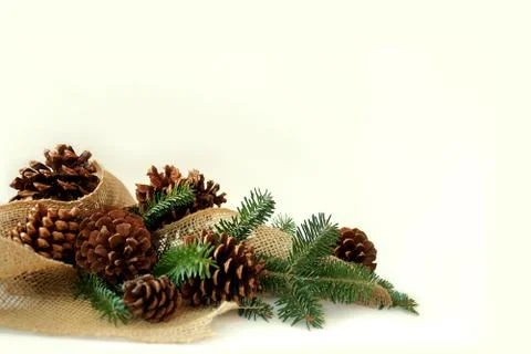 Christmas tree branches, pine cones, and burlap border white background Stock Photos