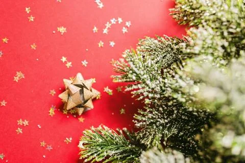 Christmas tree branches on red background with golden confetti. new year conc 스톡 사진