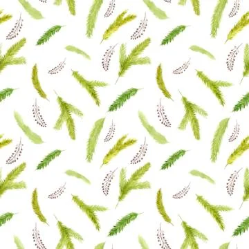 Christmas tree branches seamless pattern on white background Watercolor Illustrazione stock