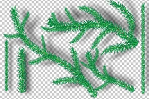 Christmas tree branches on tranparency background.vector Ilustración de archivo