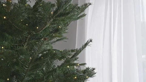 Christmas tree branches with warm lights and moving white curtain, 4K Stock Footage 324240650