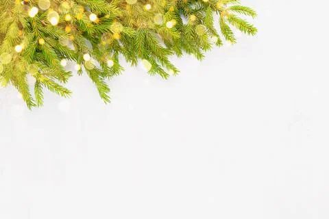 Christmas tree branches on a white background. Top view, copy space Stock Photos