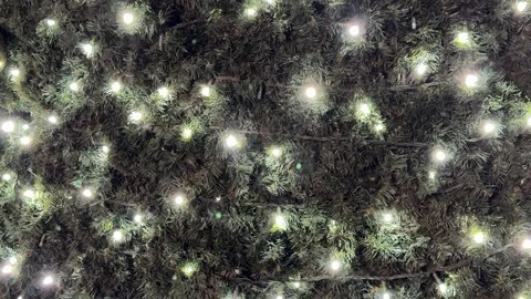 Christmas tree branches with white LED lights Stock Footage 301088273