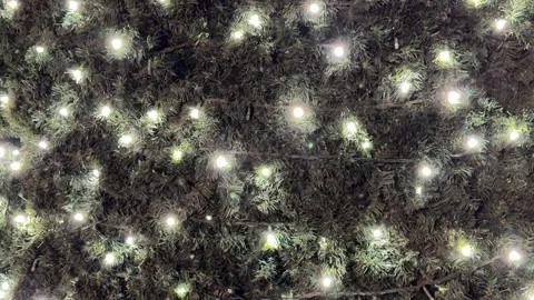 Christmas tree branches with white LED lights Stock Footage 301088292