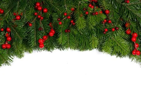 Christmas tree branches on white Stock Photos