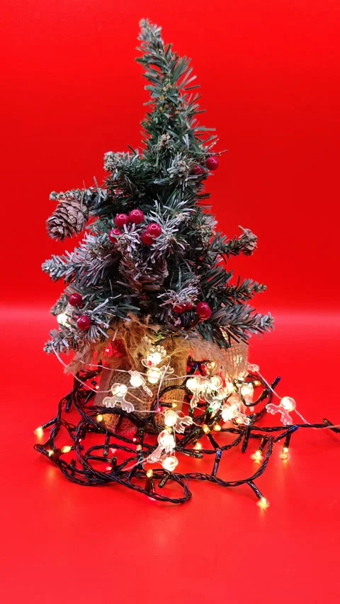 Christmas tree bright red background Stock-Footage 322677283