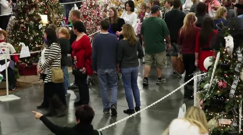 Christmas tree browsing tilt Stock Footage 45733906