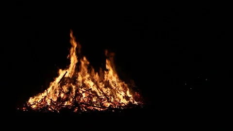 Christmas tree burning Stock Footage 122355925