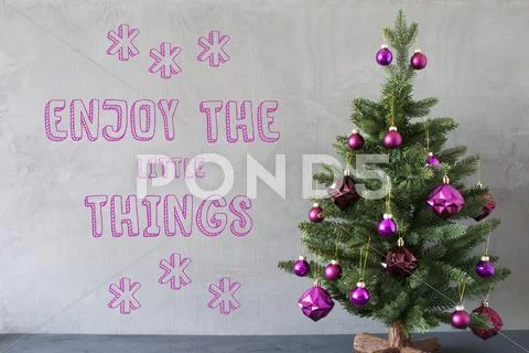 Christmas Tree, Cement Wall, Quote Enjoy The Little Things Stock Photos