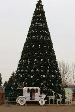 Christmas tree in the central square Stock Photos