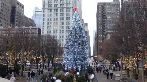 Christmas Tree in Chicago Stock Footage 227834228