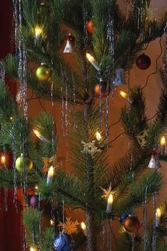 Christmas tree, christmas tree Stock Photos