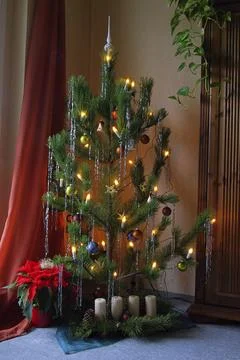 Christmas tree, christmas tree Stock Photos