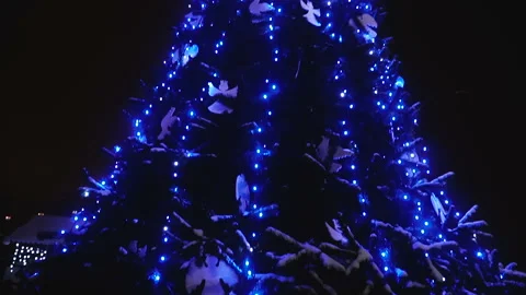 Christmas tree. Christmas tree with toys Stock Footage 101331663