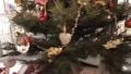 Christmas Tree circumvent HD Footage