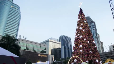Christmas tree in city Stock Footage 59739117