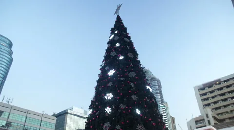 Christmas tree in city Stock Footage 59745964
