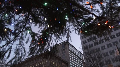 Christmas Tree Cityscape Stock Footage 83522127