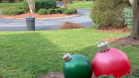 Christmas tree cleanup Stock Footage 100563074