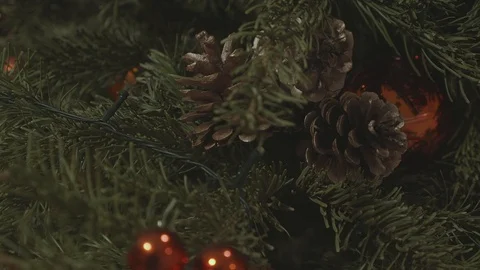 Christmas Tree Close-Up 4K Stock Footage 105034981